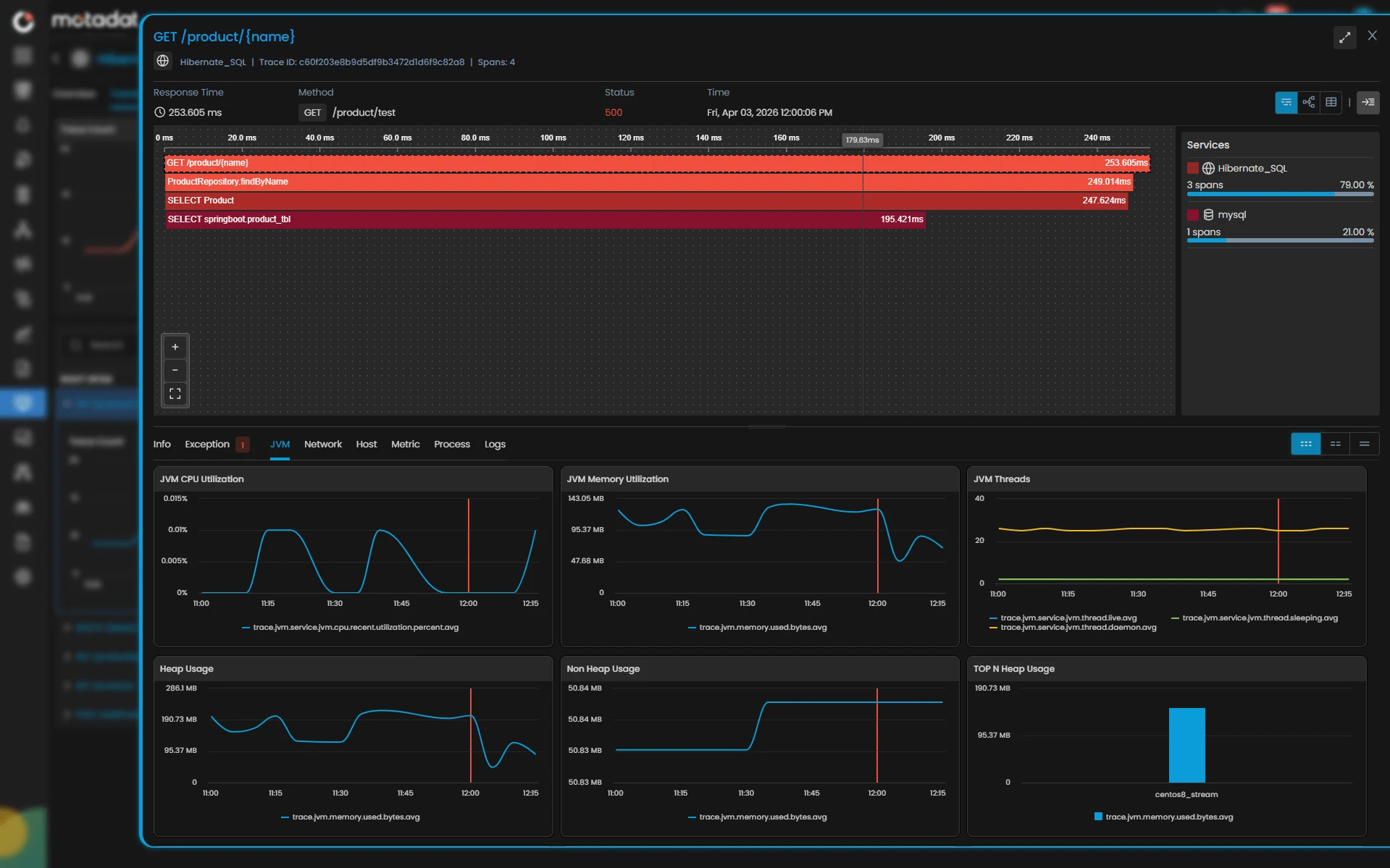 Application Performance arayüzü